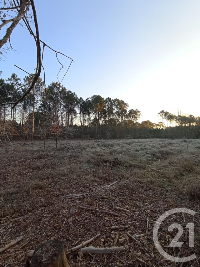terrain à vendre - 4566.0 m2 - VENDAYS MONTALIVET - 33 - AQUITAINE - Century 21 Agence Biran