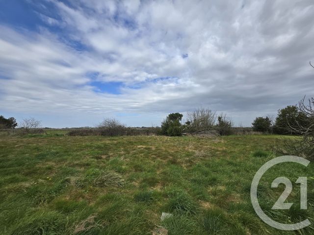 Afficher la photo en grand maison à vendre - 6 pièces - 120.43 m2 - JAU DIGNAC ET LOIRAC - 33 - AQUITAINE - Century 21 Agence Biran