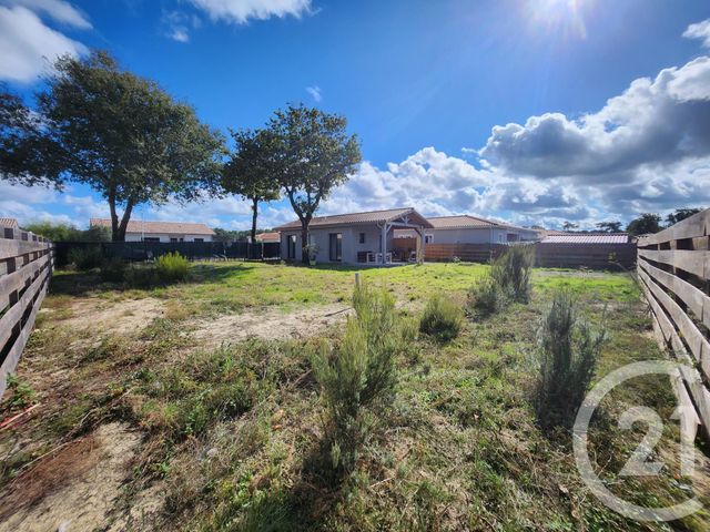 maison - VENDAYS MONTALIVET - 33