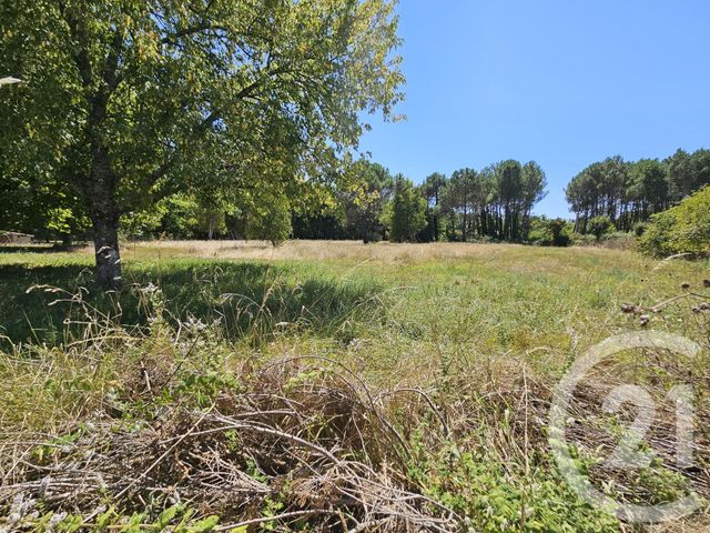 maison à vendre - 7 pièces - 168.1 m2 - GRAYAN ET L HOPITAL - 33 - AQUITAINE - Century 21 Agence Biran