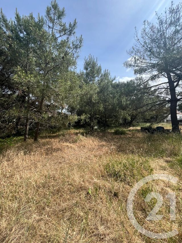 terrain - VENDAYS MONTALIVET - 33