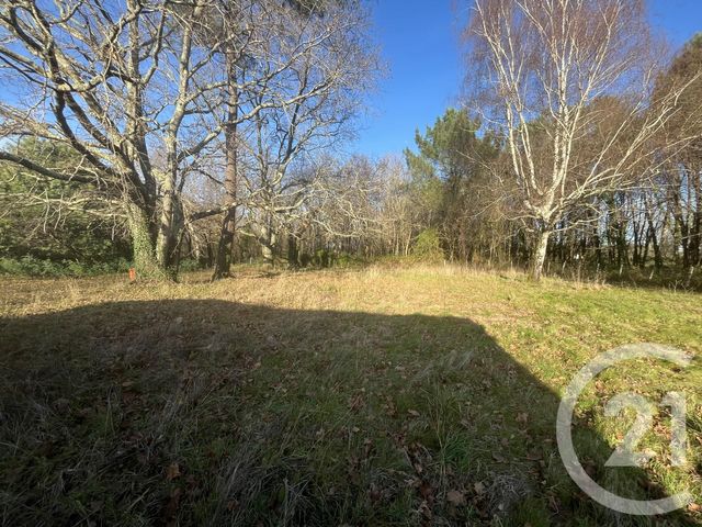 maison à vendre - 7 pièces - 100.85 m2 - VENSAC - 33 - AQUITAINE - Century 21 Agence Biran