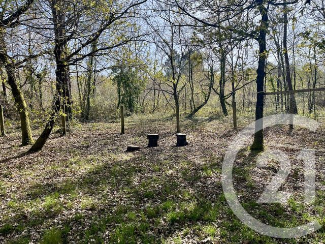 maison à vendre - 5 pièces - 91.0 m2 - GRAYAN ET L HOPITAL - 33 - AQUITAINE - Century 21 Agence Biran